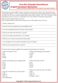 Plural Nouns
