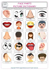 Face Parts