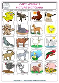 Farm Animals
