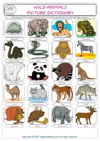Wild Animals