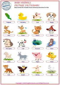 Baby Animals