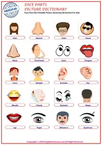 Face Parts