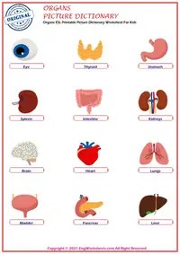 Organs