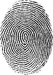 fingerprint