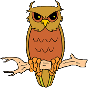 owl