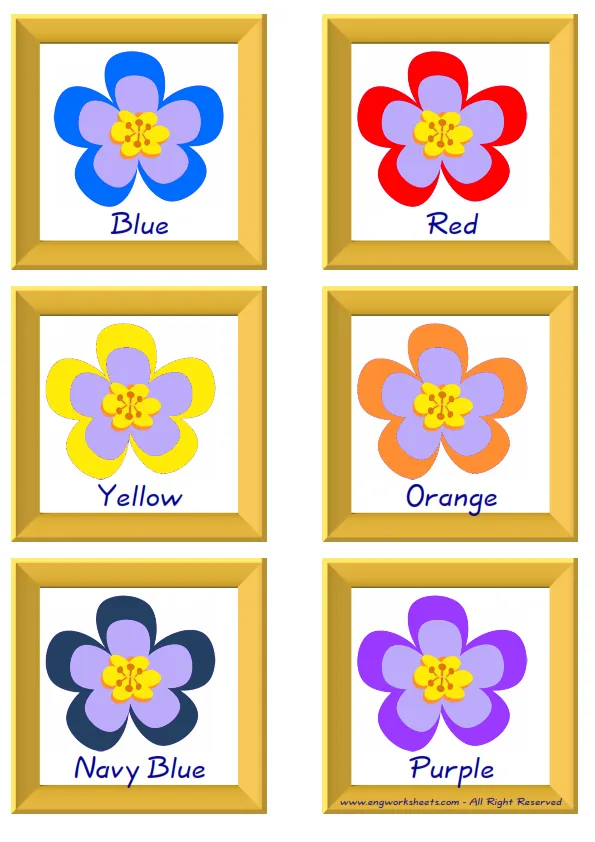 ESL Flashcard together with words containing Colour picture for kids and teachers. Worksheet Preview