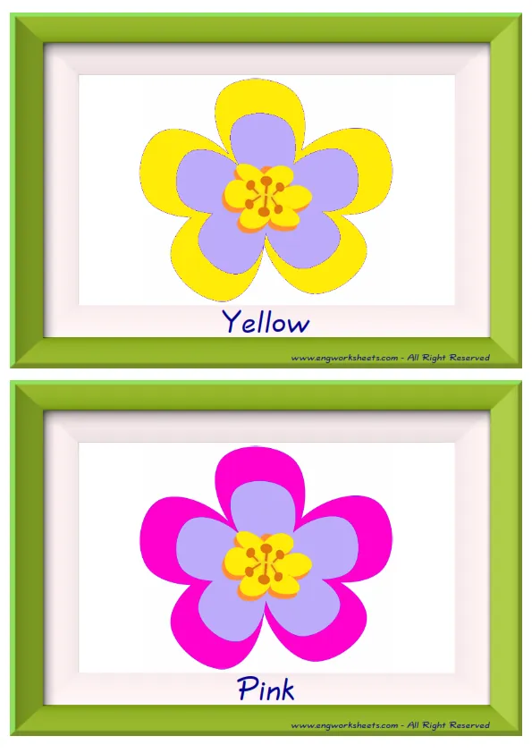 Half page ESL Flashcard together with words containing Colour picture for kids and teachers. Worksheet Preview