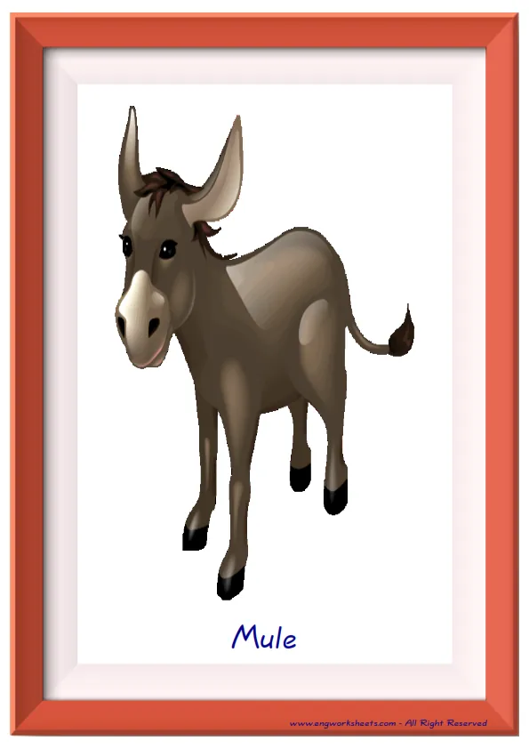 Full page ESL Flashcard together with words containing Farm Animals picture for kids and teachers. Worksheet Preview