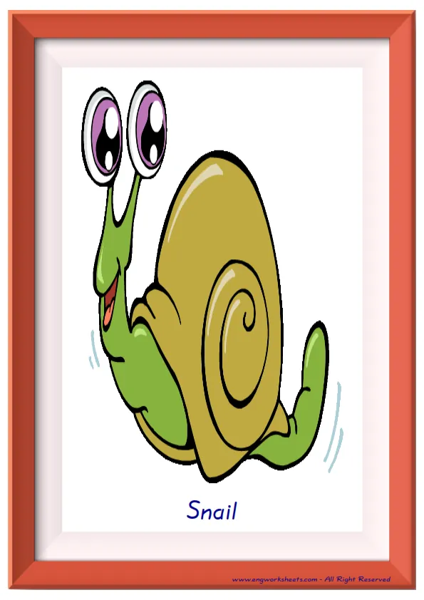 Full page ESL Flashcard together with words containing Insects picture for kids and teachers. Worksheet Preview
