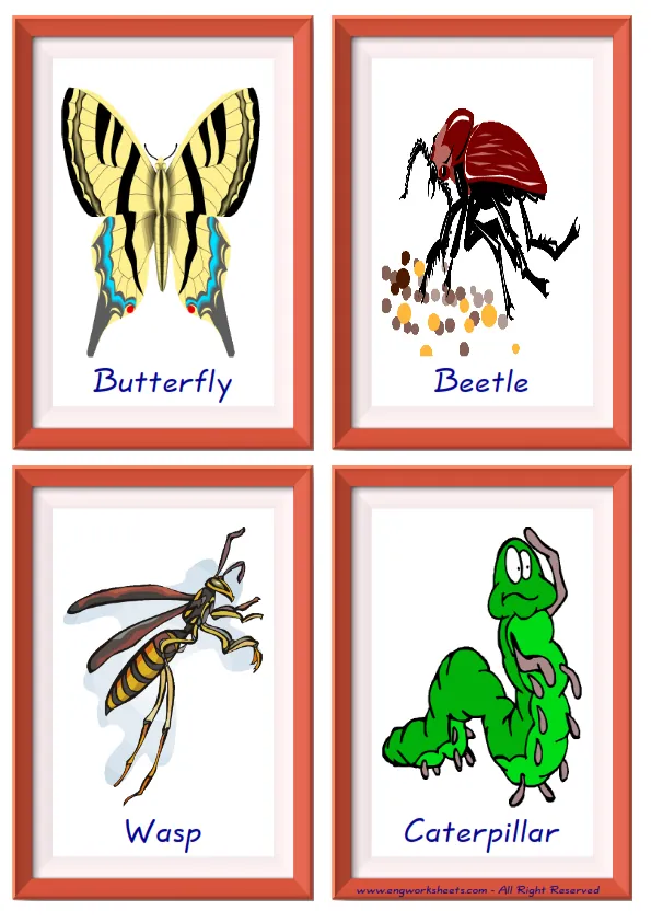 Quarter page ESL Flashcard together with words containing Insects picture for kids and teachers. Worksheet Preview