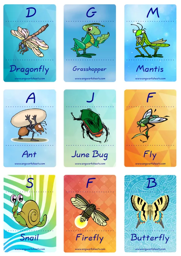 Mini size enjoyable ESL Flashcard Insects for kids and teachers. Worksheet Preview