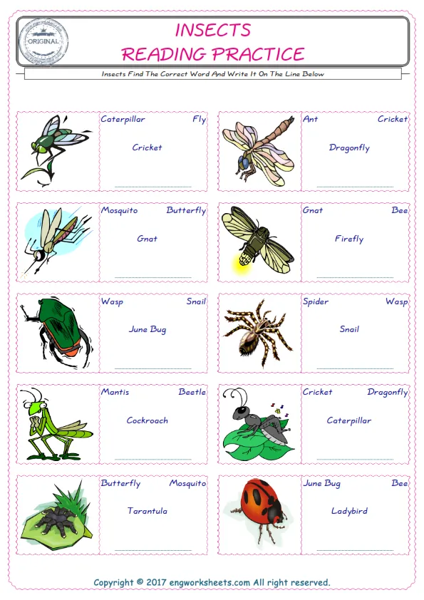 Check the picture of the Insects for kids ESL worksheet for supplying the correct one among four words into the blank place. Worksheet Preview