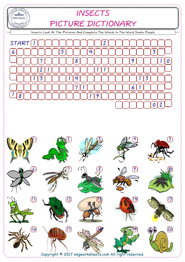 Check the Illustrations of Insects english worksheets for kids, and Supply the Missing Words in the Word Snake Puzzle ESL play. Worksheet Preview
