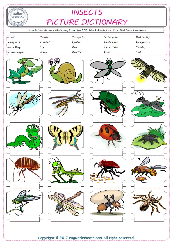 Insects for Kids ESL Word Matching English Exercise Worksheet. Worksheet Preview