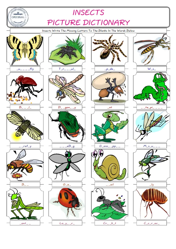 Insects Words English worksheets For kids, the ESL Worksheet for finding and typing the missing letters of Insects Words Worksheet Preview