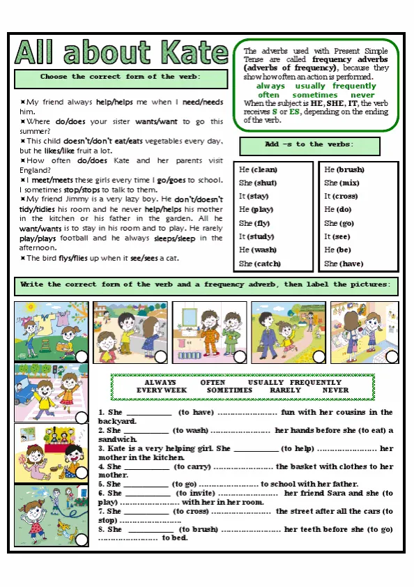 Present Simple And Frequency Adverbs Worksheet Preview