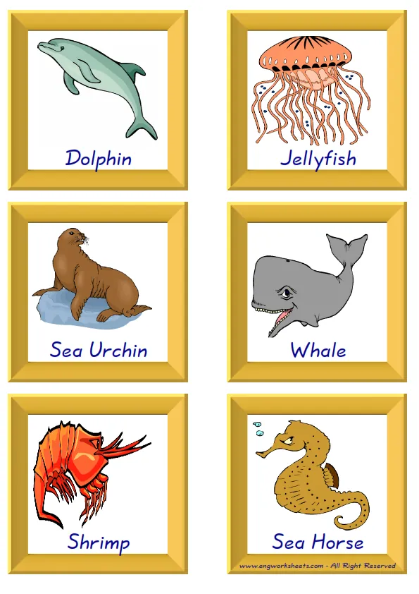 ESL Flashcard together with words containing Sea Animals picture for kids and teachers. Worksheet Preview