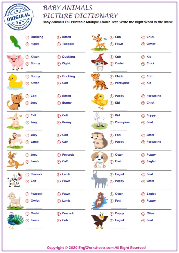 Baby Animals vocabulary worksheet with words, four images per page Worksheet Preview