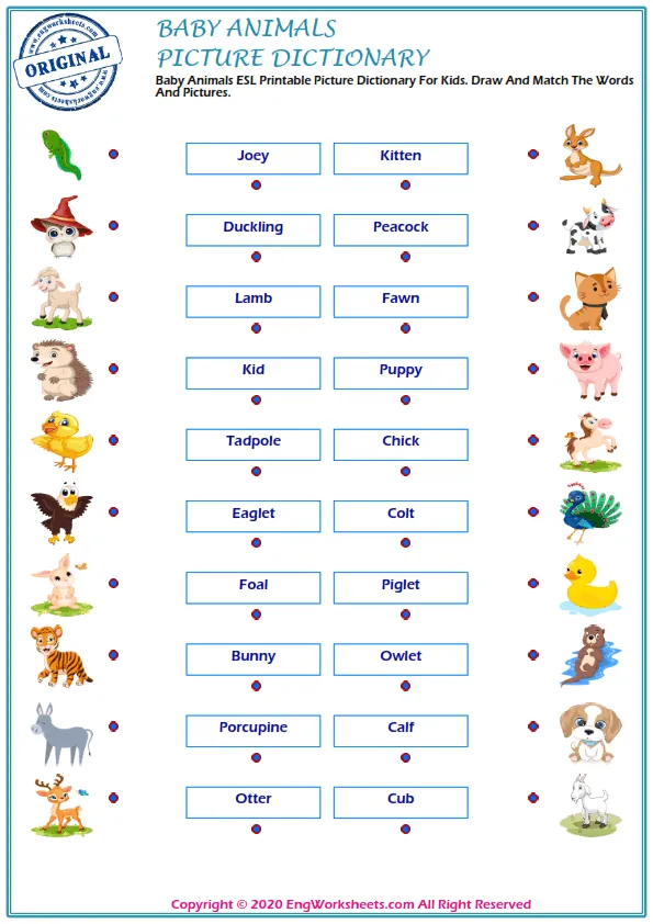 Baby Animals vocabulary worksheet with words, nine images per page Worksheet Preview