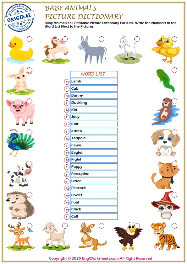 Baby Animals vocabulary worksheet with words, nine images per page Worksheet Preview