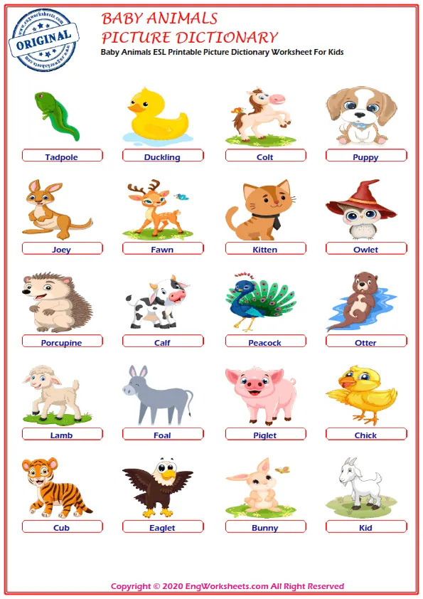Baby Animals ESL Unscramble the Words Worksheets For Kids Worksheet Preview