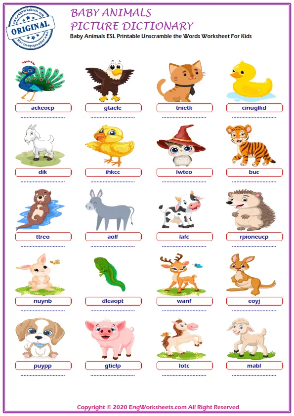Baby Animals ESL Printable Picture Dictionary For Kids. Write the Words in the Word Bank in the Correct Place in the Word List. Worksheet Preview