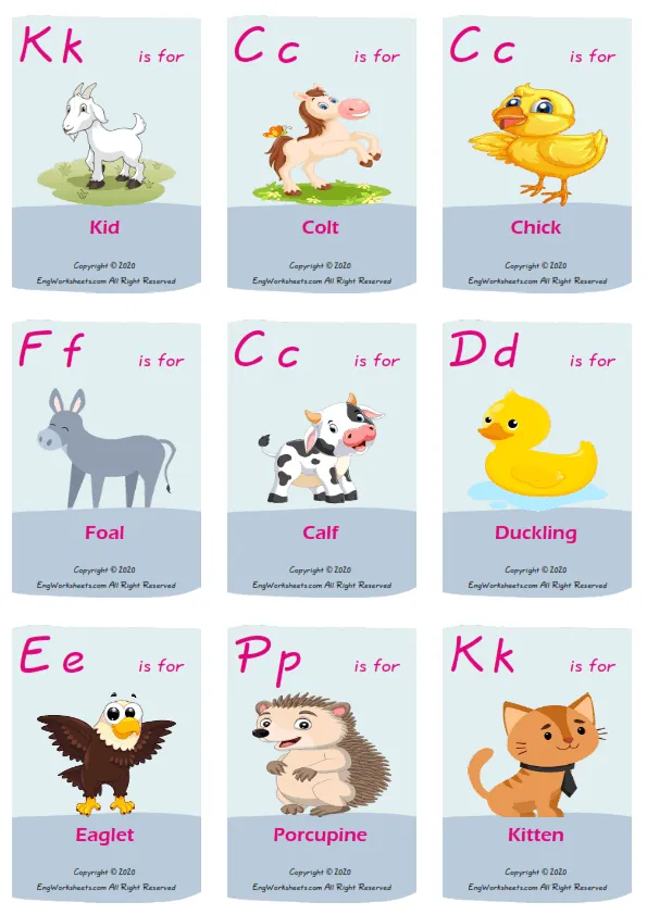 English And Your Native Language Baby Animals ESL Printable Dictionary Worksheet For Kids Worksheet Preview