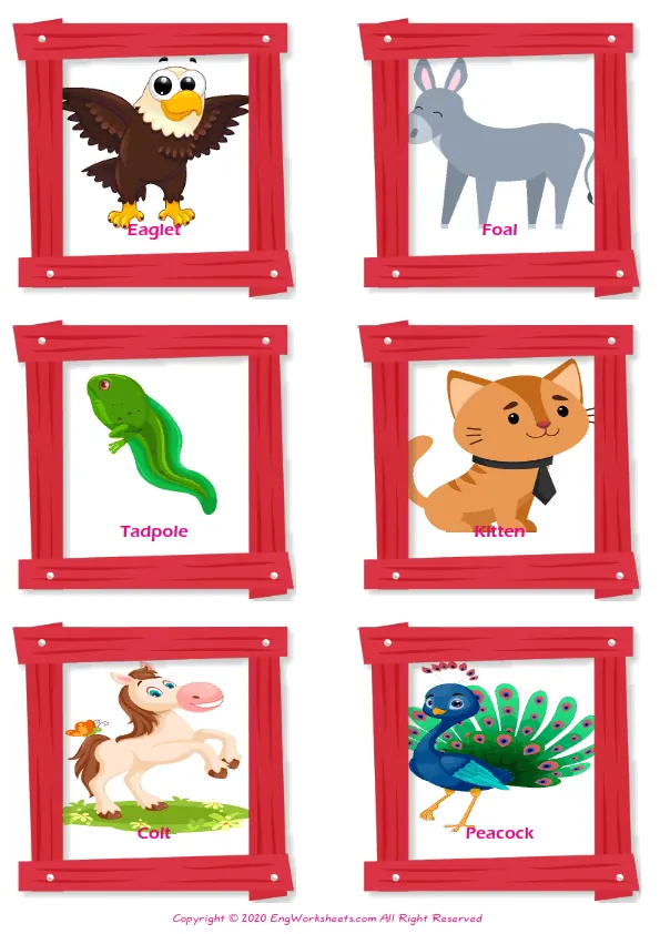 Baby Animals ESL Printable Matching Exercise Worksheets For Kids Worksheet Preview
