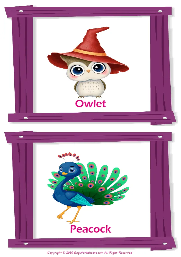 Baby Animals ESL Printable Multiple Choice Test. Worksheet Preview