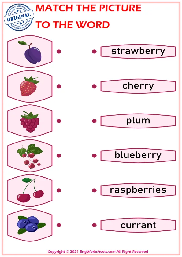 Match the picture to the word worksheet for children Worksheet Preview